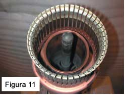 Figura 11