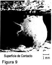 Figura 9