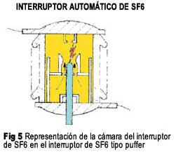 Figura 5