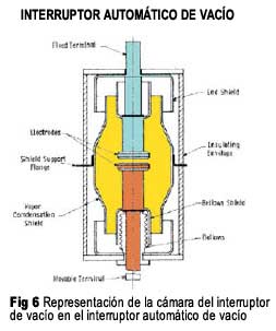 Figura 6