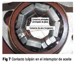 Figura 7