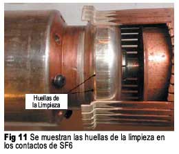 Figura 11
